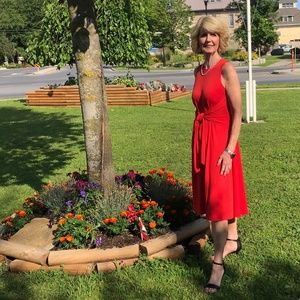 LABOR DAY CLEARANCE Ann Taylor Jersey Dress